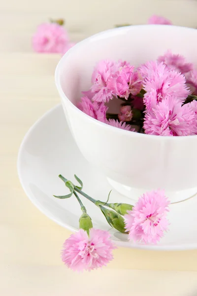 Viele kleine rosa Nelken in Tassen auf hölzernem Hintergrund — Stockfoto