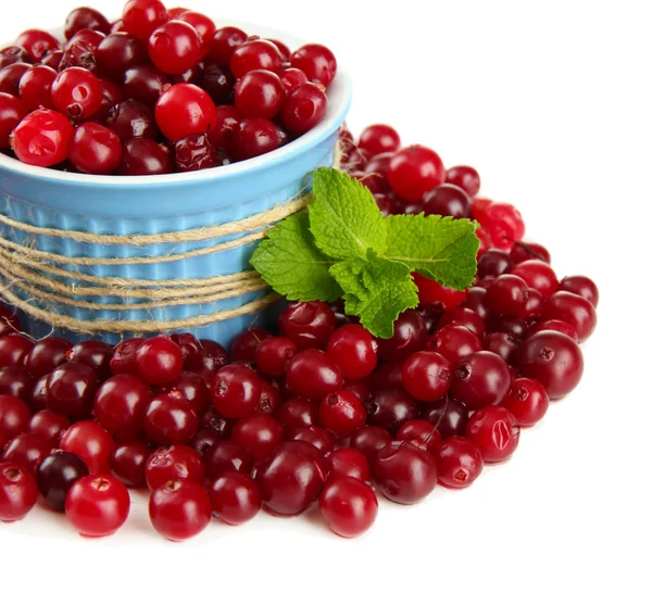 Ripe red cranberries in bowl, isolated on whit — Stock Photo, Image