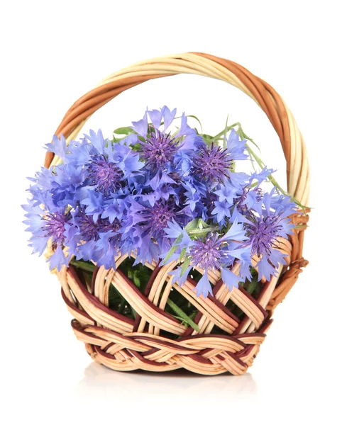 Beautiful bouquet of cornflowers in basket, isolated on white Stock Picture