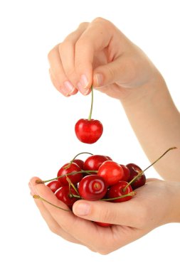 elinde beyaz izole kiraz meyveleri