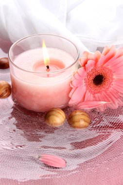 su çiçeği ile güzel pembe mum