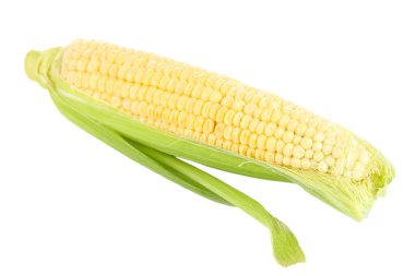 Taze mısır sebzesi beyazda izole edilmiş.