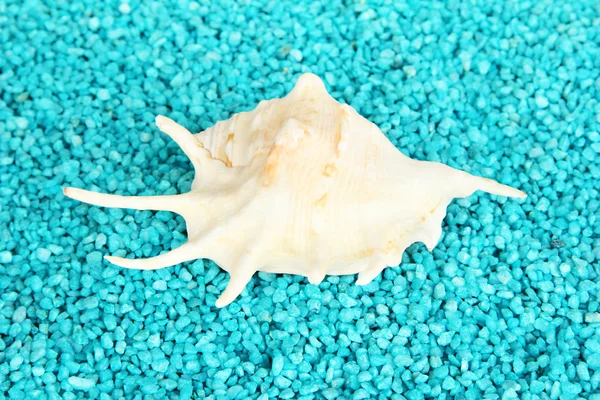 Shell on blue crystals of sea salt background — Stock Photo, Image