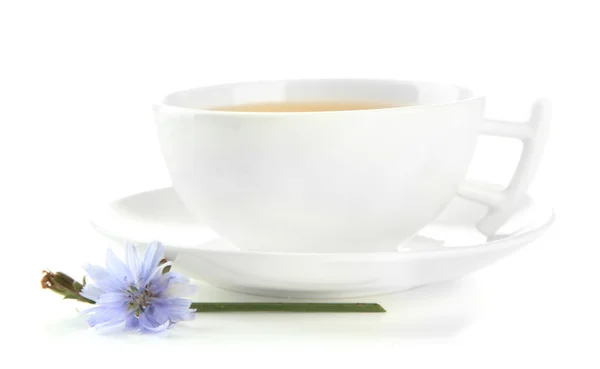 Cup of tea with chicory, isolated on white — Stock Photo, Image