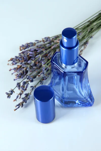 Profumo in bottiglia e lavanda isolato su bianco — Foto Stock