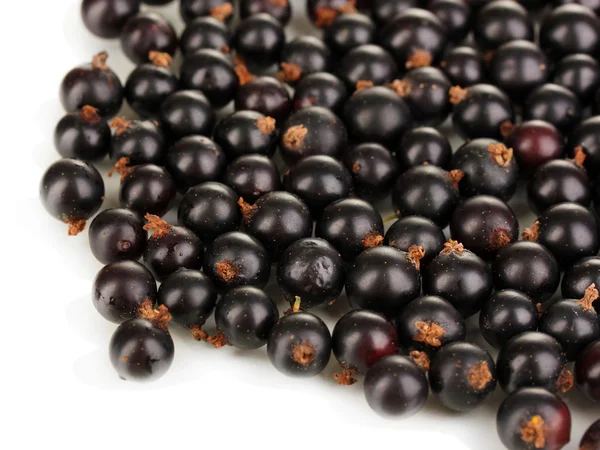 Currant hitam segar diisolasi pada putih — Stok Foto