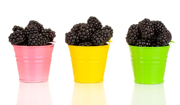 甜黑莓在多彩桶上白色隔离 — 图库照片