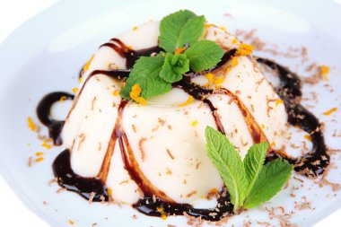 Panna cotta izole üzerine beyaz çikolata sosu ile