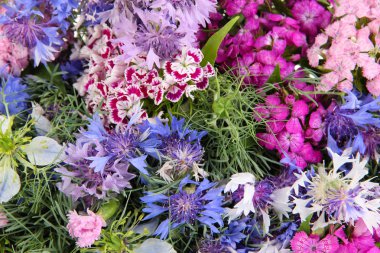 güzel buket yakın çekim arka plan