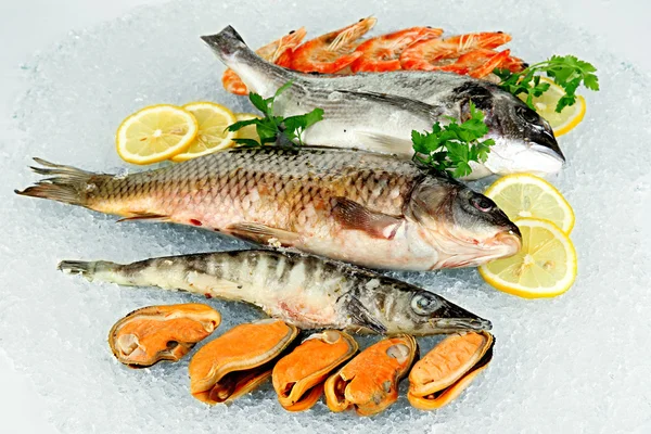 Fresh seafood on ice — Stock Photo, Image