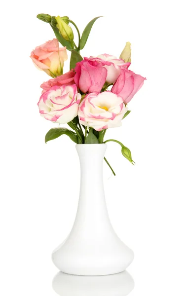 Bouquet of eustoma flowers in vase isolated on white — Stock Photo, Image