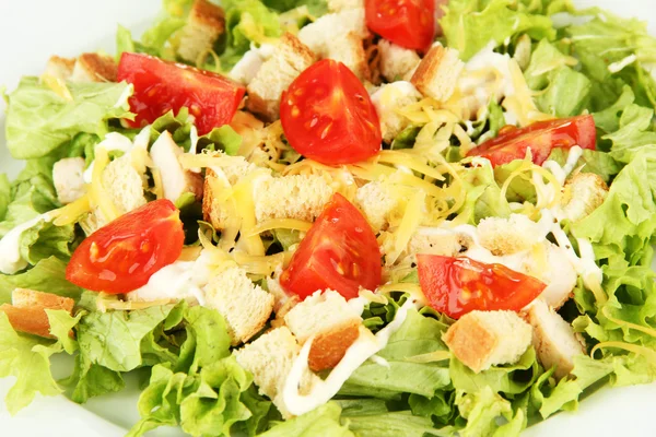 Cézár saláta fehér tányérra, közelről — Stock Fotó
