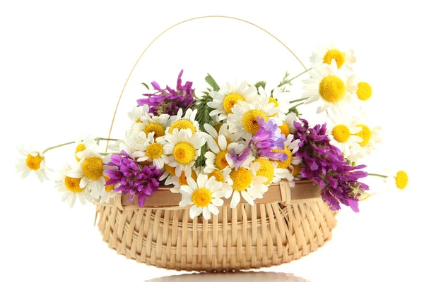 Krásná kytice v košíku, izolované na bílém — Stock fotografie