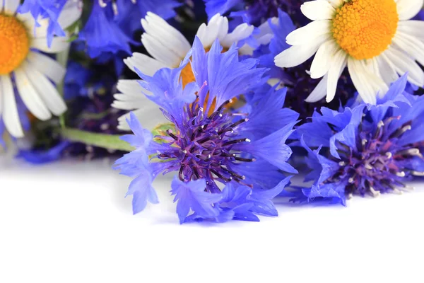 Vacker bukett av blåklint och chamomiles, isolerad på vit — Stockfoto