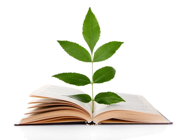 Книга с растением изолированы на белом — стоковое фото