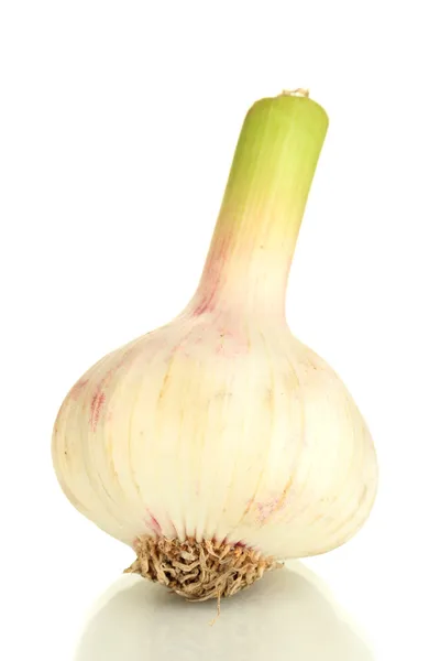 Knoblauch isoliert auf weiß — Stockfoto