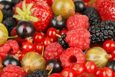 Olgun meyveleri yakın çekim