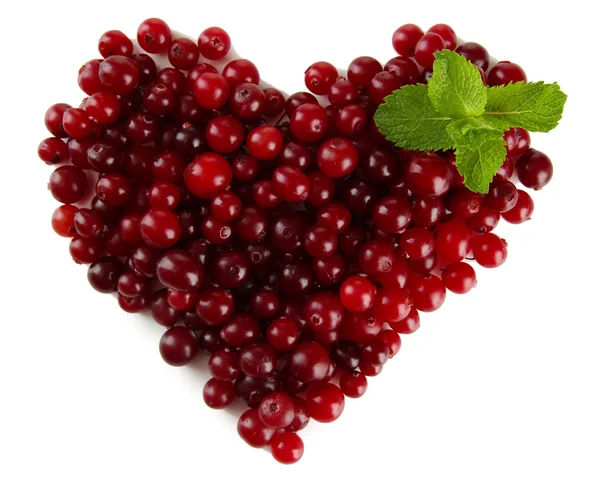 Ripe red cranberries, isolated on whit — Stock Photo, Image