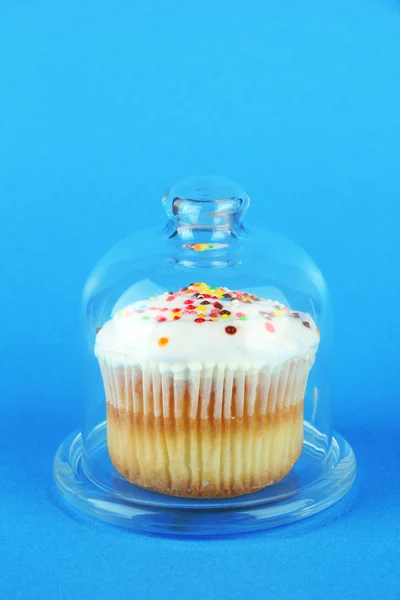 Cupcake em pires com tampa de vidro, em fundo de cor — Fotografia de Stock