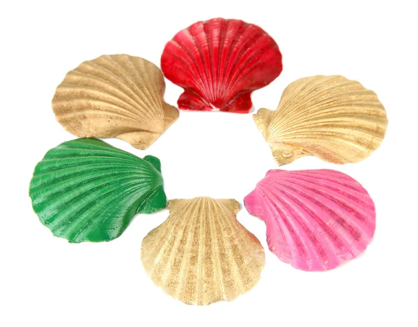 Colorful seashells, isolated on white — Stock Photo, Image