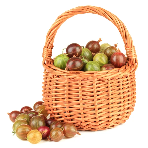 Fresh gooseberries in wicker basket isolated on white — Stock Photo, Image