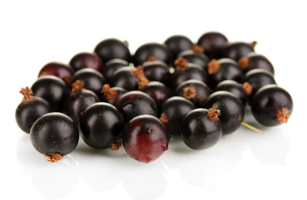 Currant hitam segar diisolasi pada putih — Stok Foto