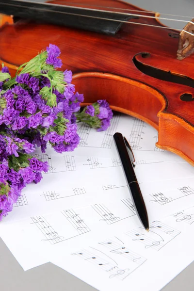 Violino classico sulle note — Foto Stock