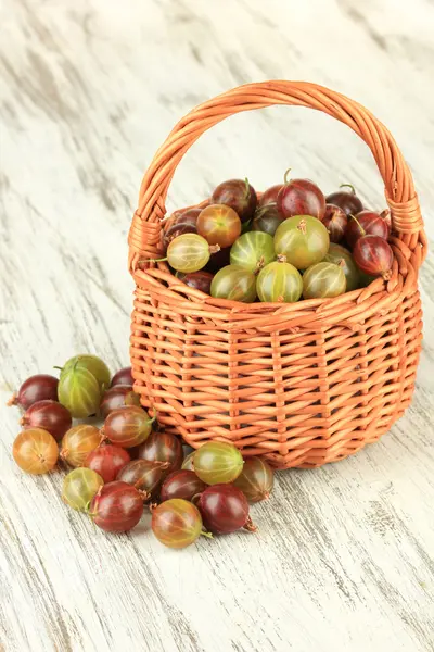 Fresh gooseberries in wicker basket on table close-up — Stock Photo, Image