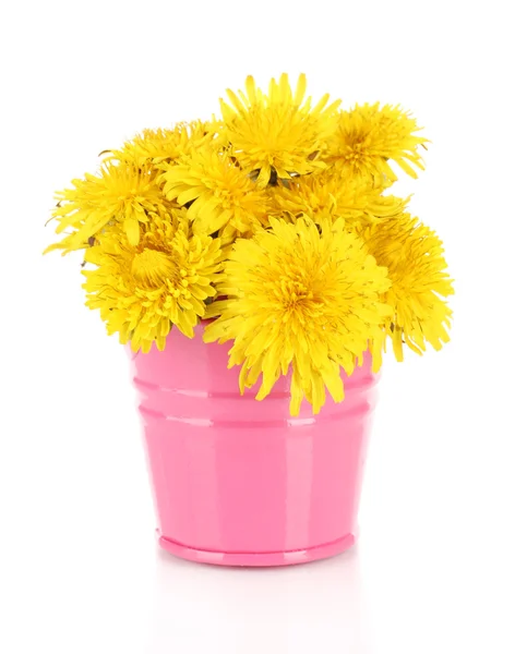 Dandelion flowers in bucket isolated on white — Stock Photo, Image