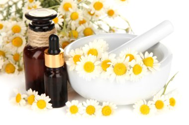 esans ve harç papatya çiçekleri kapat