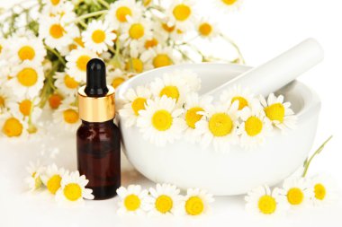 esans ve harç papatya çiçekleri kapat