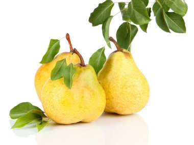 Sulu armut üzerinde beyaz izole