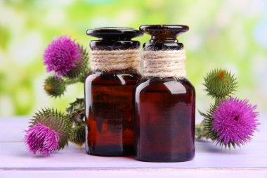 thistle çiçek doğa zemin üzerine tıp şişe