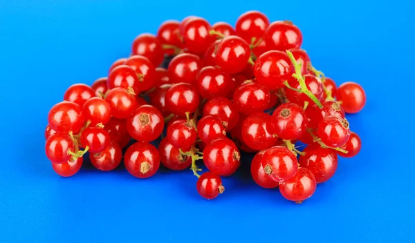 Ribes rosso su sfondo blu — Foto Stock