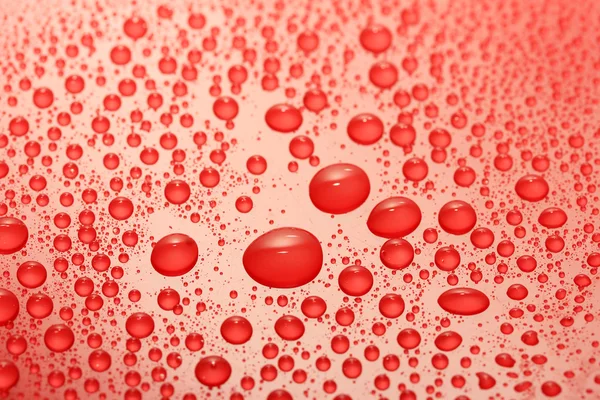 Water drops background — Stock Photo, Image