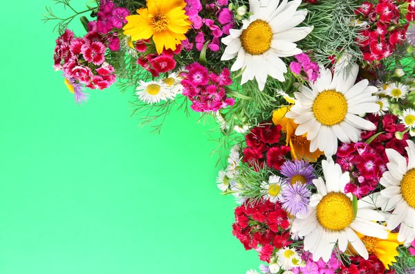 Beautiful bright flowers on green background — Stock Photo, Image