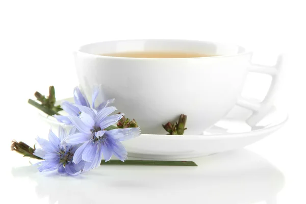 Cup of tea with chicory, isolated on white — Stock Photo, Image