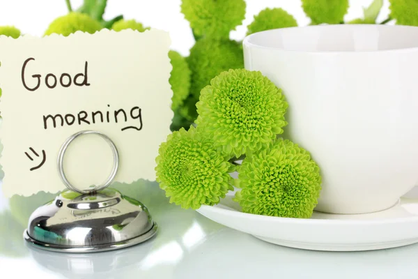 Beautiful green chrysanthemum with cup of tea isolated on white — Stock Photo, Image