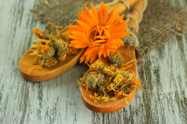 Fleurs de calendula fraîches et séchées sur fond bois — Photo