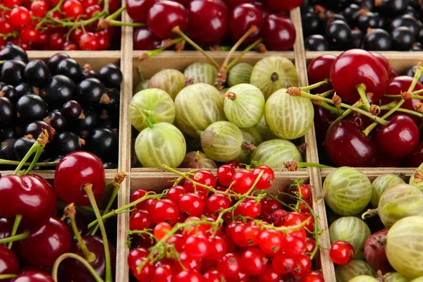 Different summer berries in wooden crate, close up — Stock Photo, Image