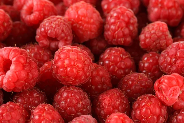 Framboises douces mûres, gros plan — Photo