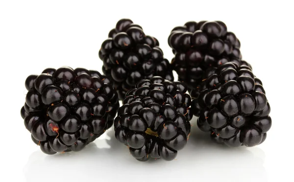 Sweet blackberry isolated on white — Stock Photo, Image