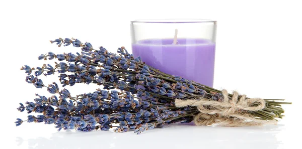 Vela de lavanda con lavanda fresca, aislada en blanco — Foto de Stock