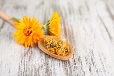 ahşap zemin üzerine calendula taze ve kurutulmuş çiçekler