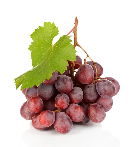 Rijp heerlijke druiven geïsoleerd op wit — Stockfoto