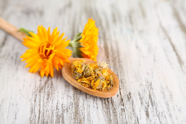 Свежие и сушеные цветы календулы на деревянном фоне

