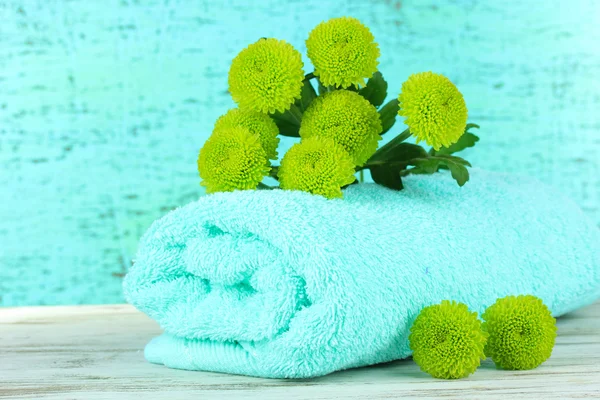 Beautiful green chrysanthemum with towel on table on blue background — Stock Photo, Image
