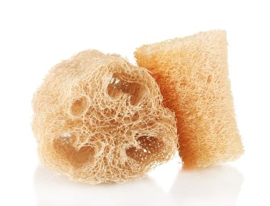 beyaz izole lif kabağı