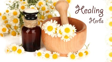 Essential oil and chamomile flowers in mortar close up clipart