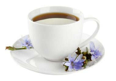 hindiba, üzerinde beyaz izole ile çay